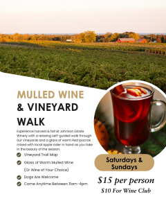 Mulled Wine & Vineyard Walk
